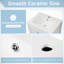 Joule 24'' Single Bathroom Vanity With Ceramic Top-575703888
