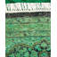 Fine Vibrance One-of-a-Kind 7' 1" x 7' 1" Hand Knotted Area Rug
