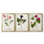 Nature imprimé Botanicals III - Toile tendue avec châssis sur mesure - 3 pièces-1169858346-1169858345