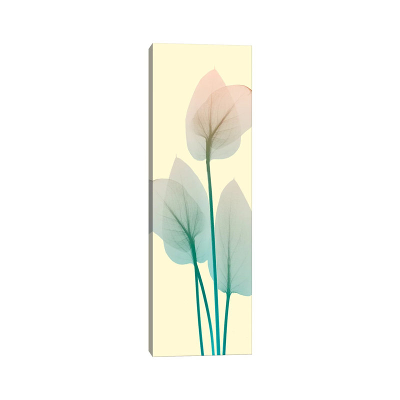 Blissful Bloom I 1 Piece Wrapped Canvas Panoramic Painting, 121.92 cm H x 40.64 cm W x 3.175 cm D