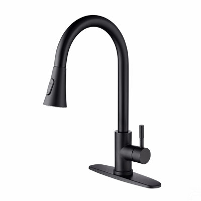 Kitchen Faucet With Pull Out Spraye