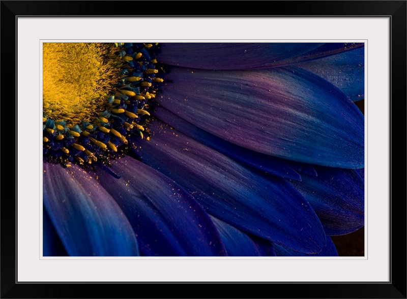 «Straub Blue Rays» par Azorsteinn H. Ingibergsson - reproduction d'art, Cadre noir, H 24 po x l 32 po x P 1 po