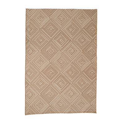 Indoor / Outdoor Rug