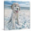 «Dog Haven» par Parvez Taj - reproduction imprimée-1569830644