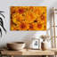 Harnek Chrysanthemums Bloom-108800767