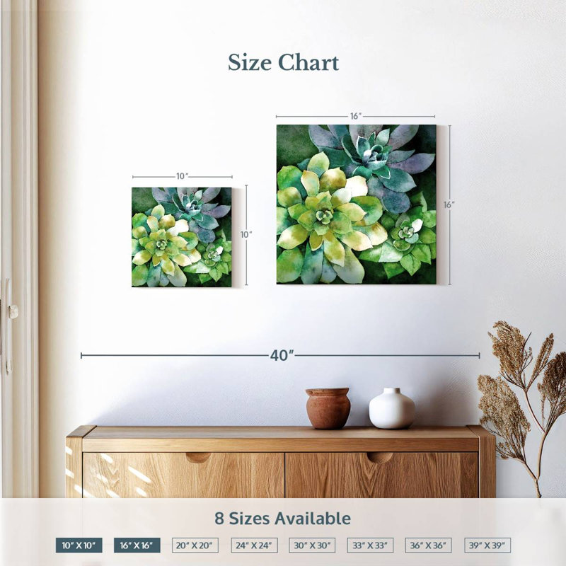 Harnek Summer Succulents, H 10 po x l 10 po