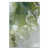 Wrapped Canvas selected