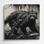 Faune, art mural gris Binturong-660456272