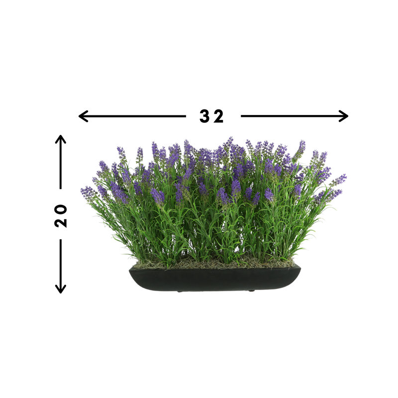 Outdoor UV-Rated Lavender in Rectangular Planter