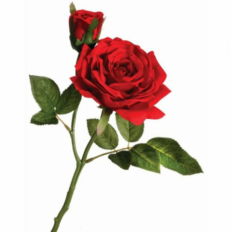 Rose ouverte avec des fleurs artificielles, Rouge