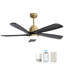Ventilateur de plafond 52 po avec lumières DEL Damecia-1836628950