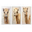 Minimalisme beige chameau-549239089-549239098