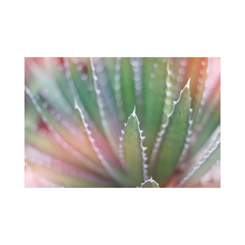 Dream Desert II by Sue Schlabach - Wrapped Canvas Print, 101.6 cm H x 66.04 cm W