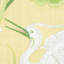 Tissu Lotus Garden-49817556