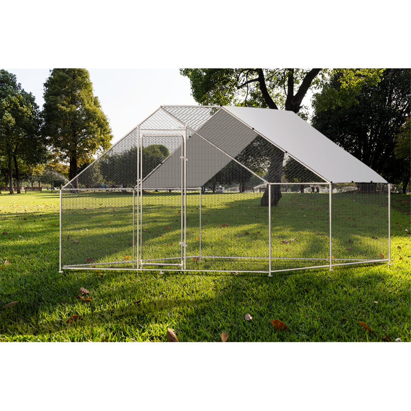 Poulailler avec treillis métallique 130 pi² Crisinda, H 6,4 po x l 9,8 po x P 13,1 po
