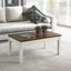 Solid Wood Top Single Coffee Table