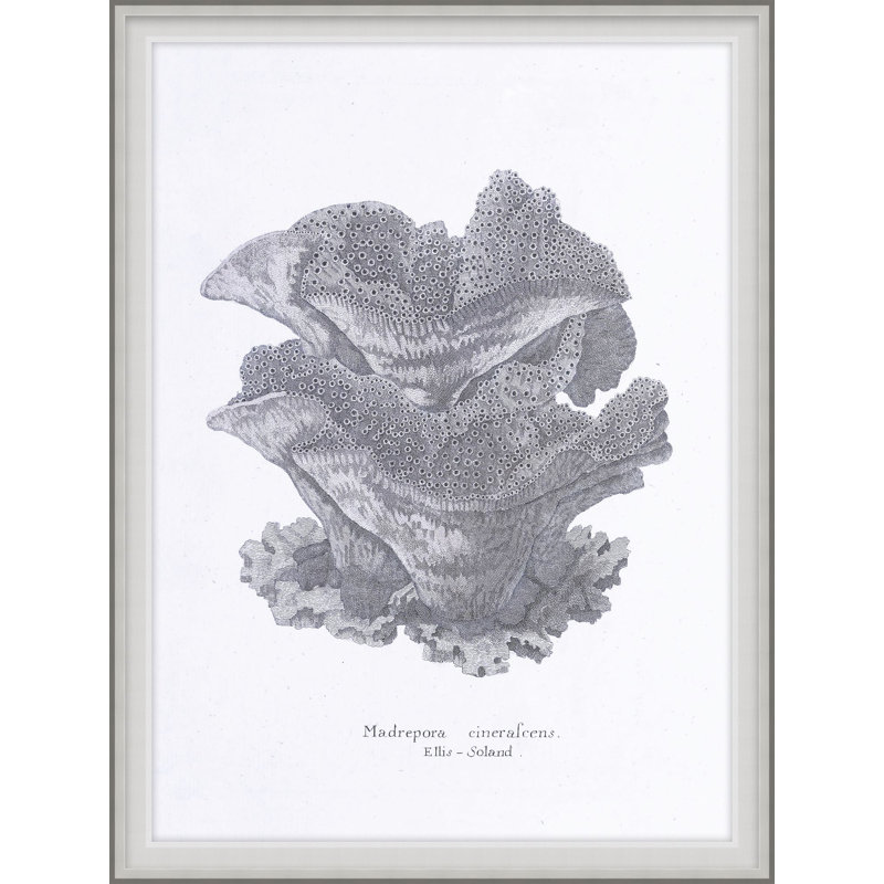 Cultivated Antiquity 6 Print, 24" H x 18" W x 2" D