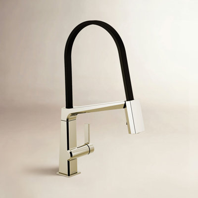 Pivotal Exposed Hose Kitchen Faucet