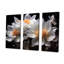 Ensemble de salon Coral Underwater Flowers III - Coastal Coral Under Water-107734585-107734583