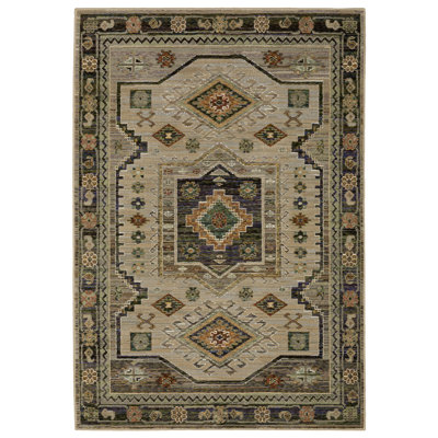 Reenu Oriental Indoor Rug