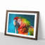 Rainbow Macaw Parrot - Framed Print-56758305-56758308