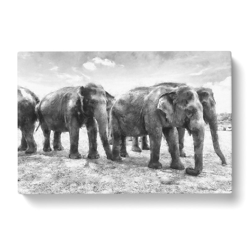 Elephants in Sri Lanka - Wrapped Canvas, 40cm H x 60cm W x 4cm D