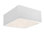 Leni Single Light LED Flush Mount