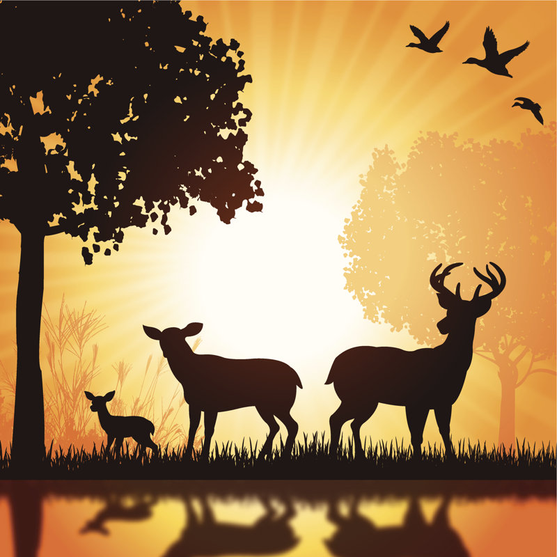 Deer Family by KeithBishop - No Frame Print on Canvas, 51cm H x 51cm W