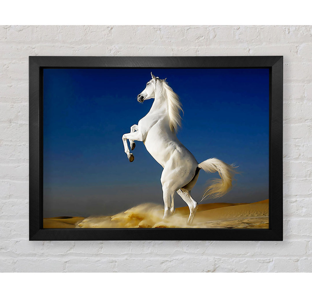 White Horse Stance - Einzelner Bilderrahmen Kunstdrucke