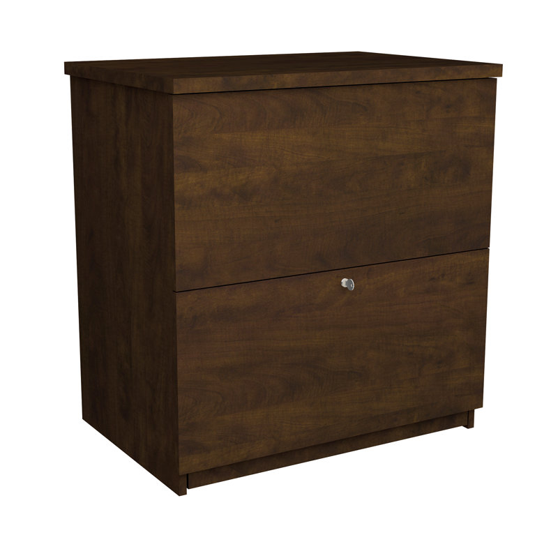 Pasiak 28.4'' Wide 2 -Drawer File Cabinet, Chocolate