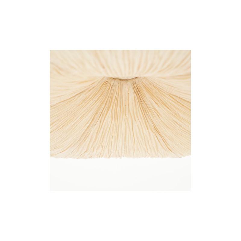 Luminaire suspendu Lokta 2