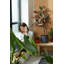 B.For Pot Planter-70004573-70004575