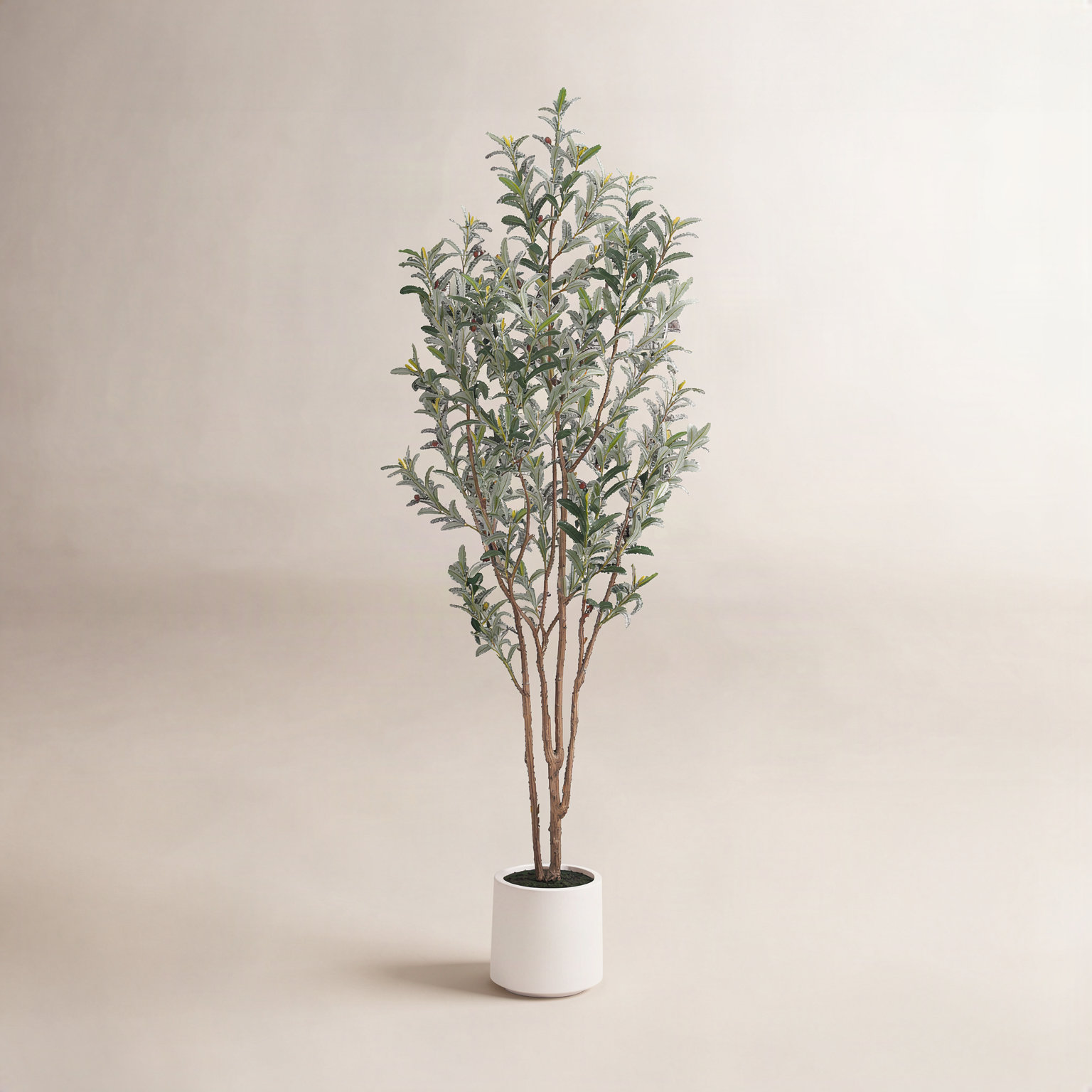 Olive Tree in Pot, 84'' H X 24'' W X 24'' D