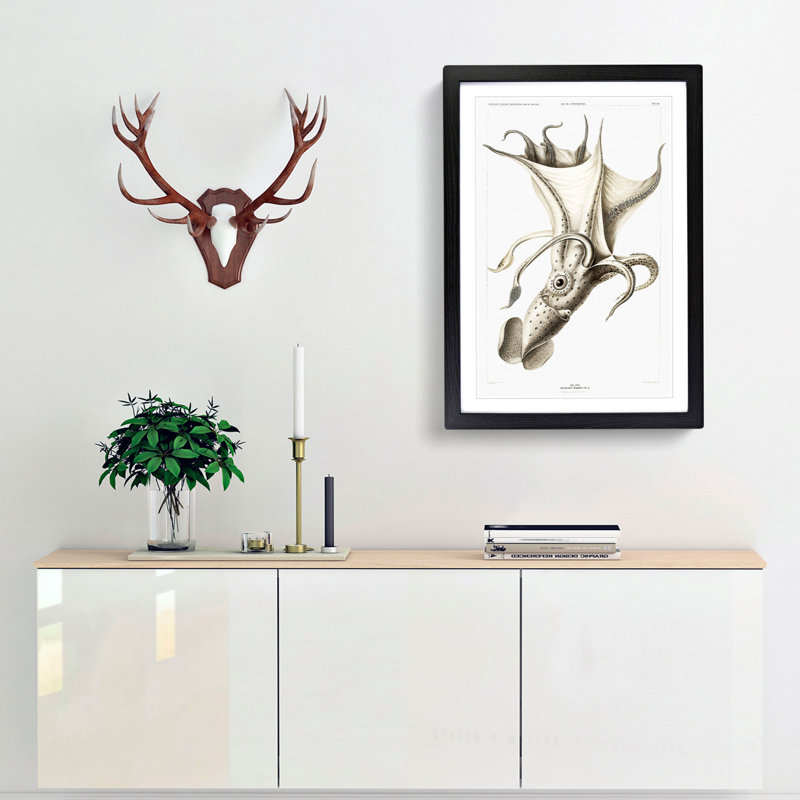 Cockeyed Squid by Carl Chun - Picture Frame Painting, 36cm H x 27cm W x 2cm D, Black Framed