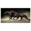 Animaux, chevaux, galop dans le désert, impression-35111693-29495978