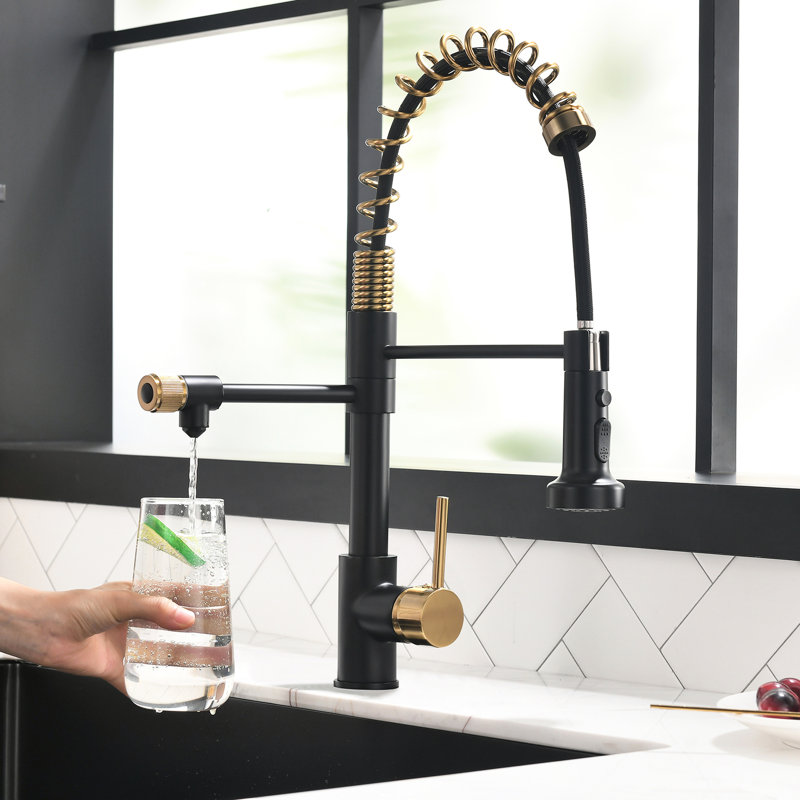 Robinet de cuisine Modern Purifier