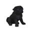 Statue de carlin chiot