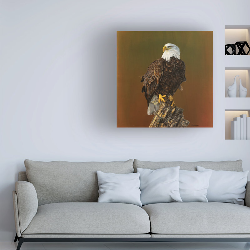 Jim Brune Proud Bald Eagle Canvas Art, H 14 po x l 14 po x P 2 po