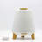 Atmos Speaker Humidifier