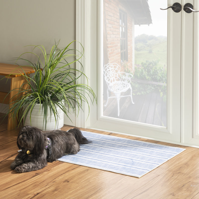 Joris Machine Washable Ivory and Blue Area Rug, Rectangle 2' x 3'