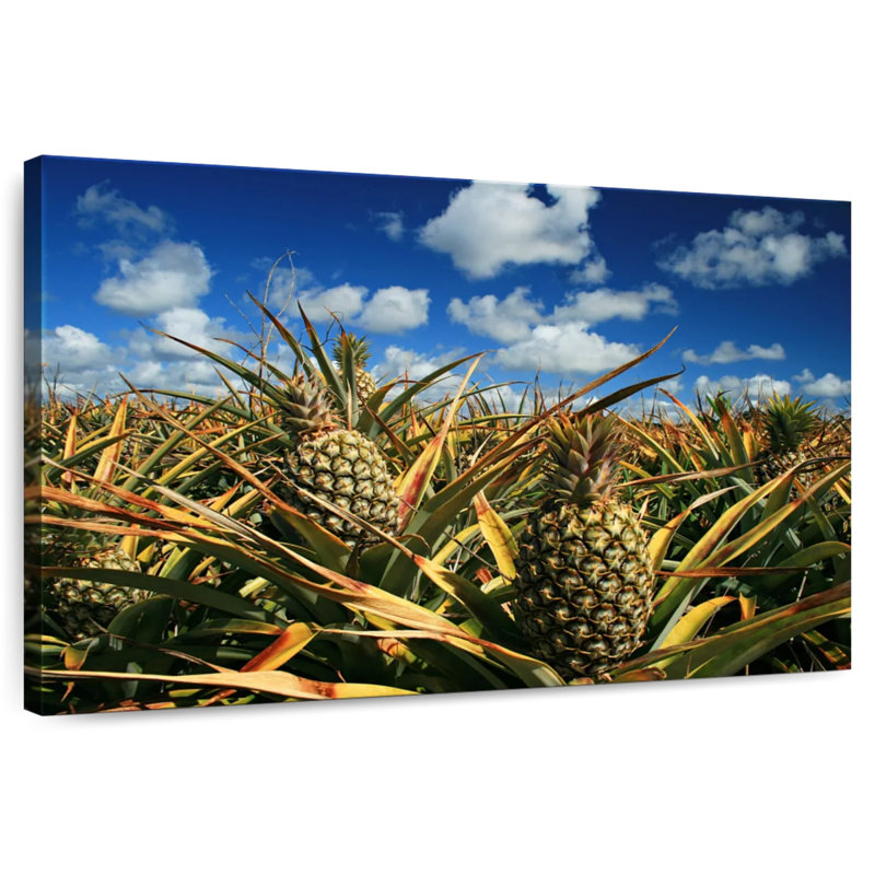Ananas de Yarlin, Thaïlande, H 8 po x l 12 po
