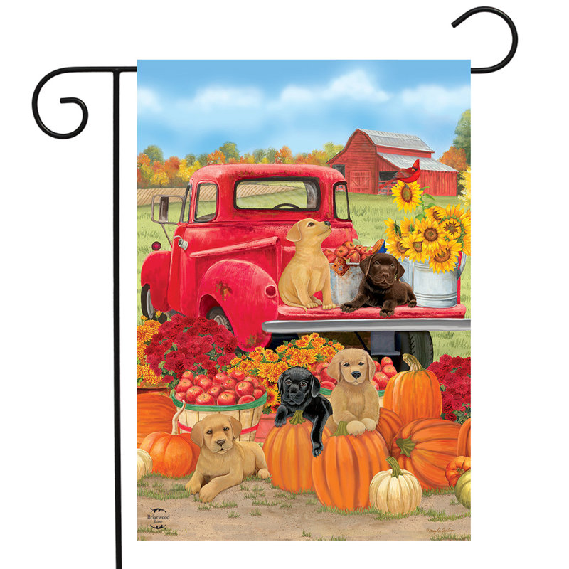 Drapeau de jardin des chiots d'automne