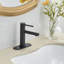 Robinet de salle de bain à un trou