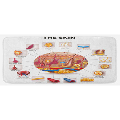 Tapis de cuisine multicolore sensoriel en forme de peau