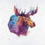 Orignal abstrait - reproduction encadrée de la faune-1004491385-1004491268