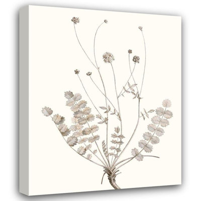August Grove® Vision Studio Gallery Wrapped Canvas Art Titled: Neutral Botanical Study IX