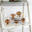 Ensemble de 5 vases en verre Amber en verre, mini vases à bourgeons uniques pour centres de table, vases décoratifs pour fleurs, décor de vase plante Funky
