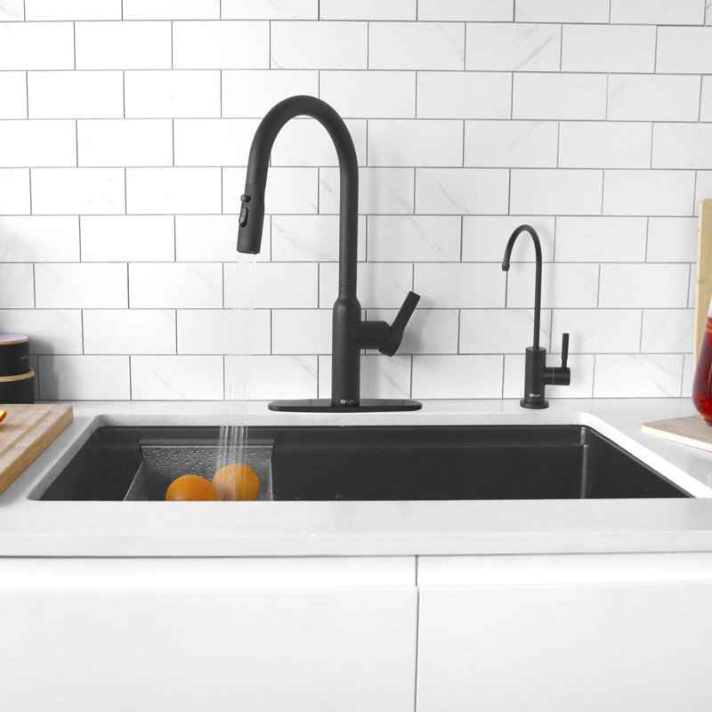 Robinet de cuisine à poignée simple avec robinet à eau et plaque de robinet Signature