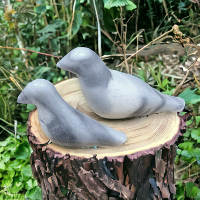 Ensemble de 2 tourterelles marbrées noires