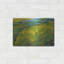 «Seed Field At Sunrise» par MASTERS-154704019